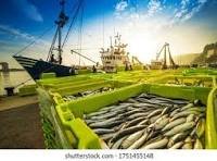 Marine and Fisheries image